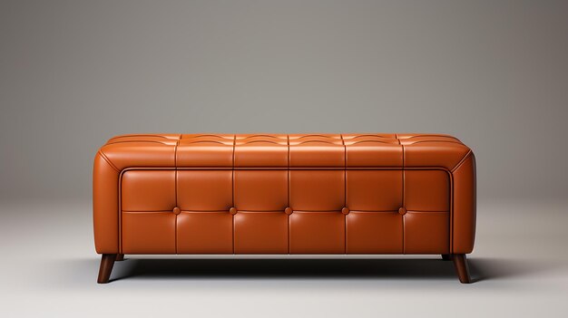 brown leather sitting sofa