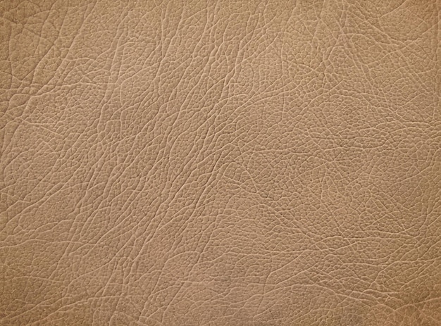 Foto marrone sfondo texture di cuoio