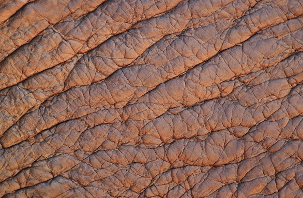 Brown leather texture background