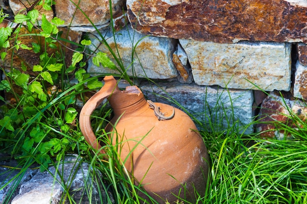 古い壊れたの上にある茶色のトカゲ