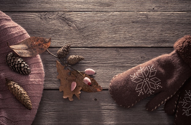 Brown mitten and cones  on wooden background