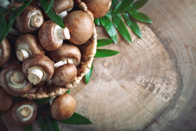 Brown mushrooms in a basket on a tree stump.