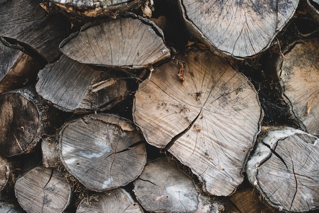 Brown old chopped circle firewood wall. Textured background with wooden natural panel.