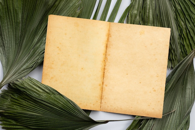 Brown old vintage page paper on tropical palm dry leaves