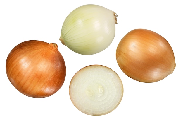 Brown onion whole and halved top