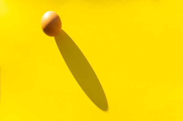 Brown organic raw egg on a yellow background with a hard shadow