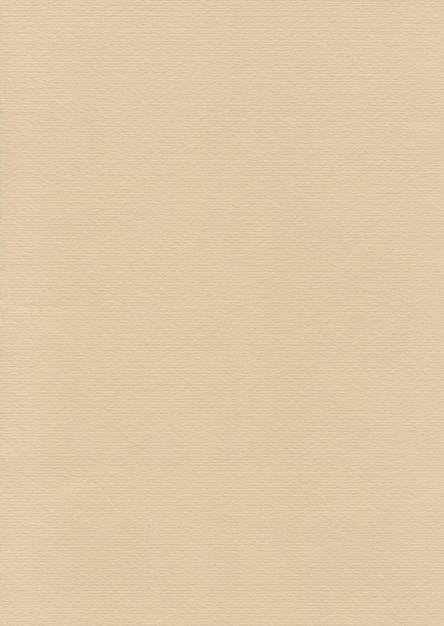 Brown paper texture background with pattern. Highly detailed paper background.