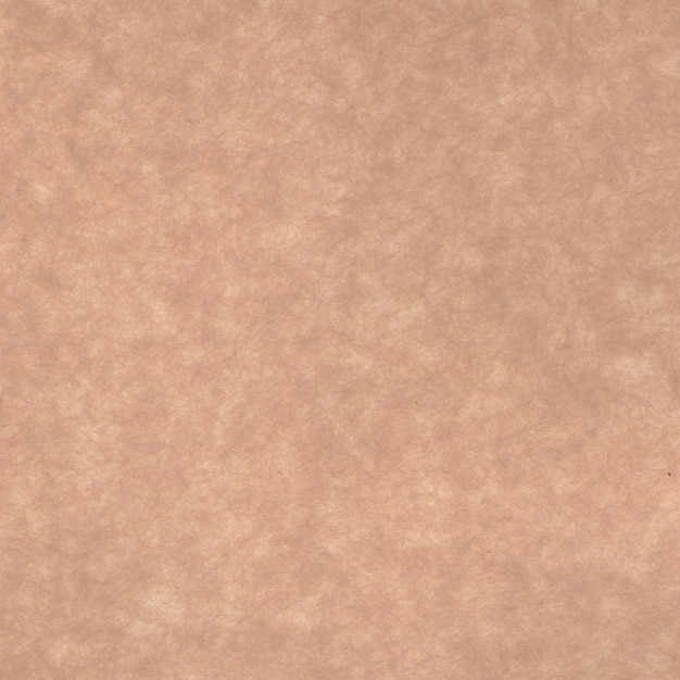 A brown paper with a light brown background and a light brown background.