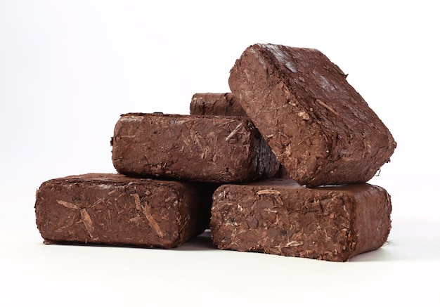 Brown peat briquettes against white background