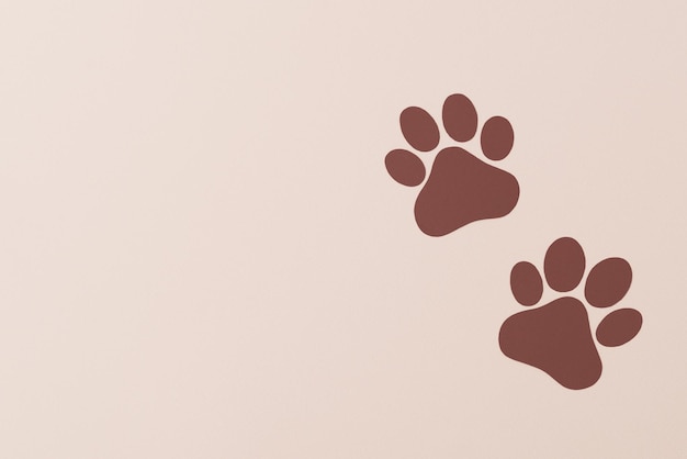 Photo brown pet paws on beige background dog paws pattern national puppy day creative concept