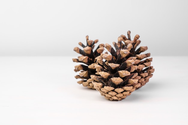 Brown pine cones isolated on the white table with copy space. Christmas decoration.