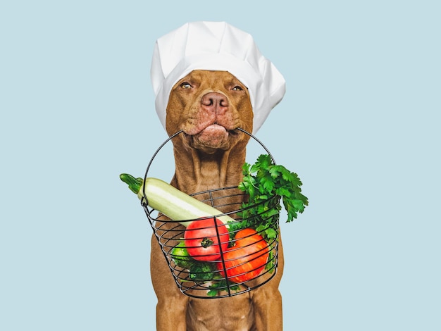 茶色の子犬と新鮮な野菜の小さなバスケット