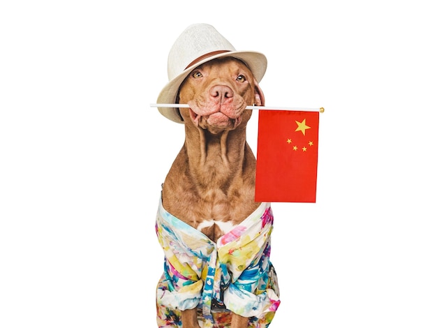 Brown puppy sun hat and China Flag