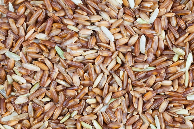 Brown rice berries background.