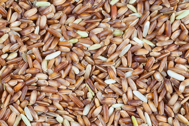 Brown rice berries background.