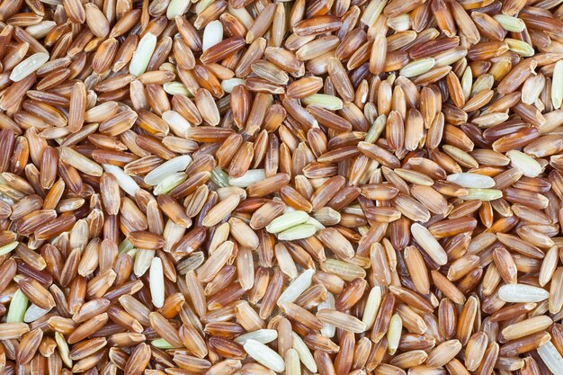 Brown rice berries background.