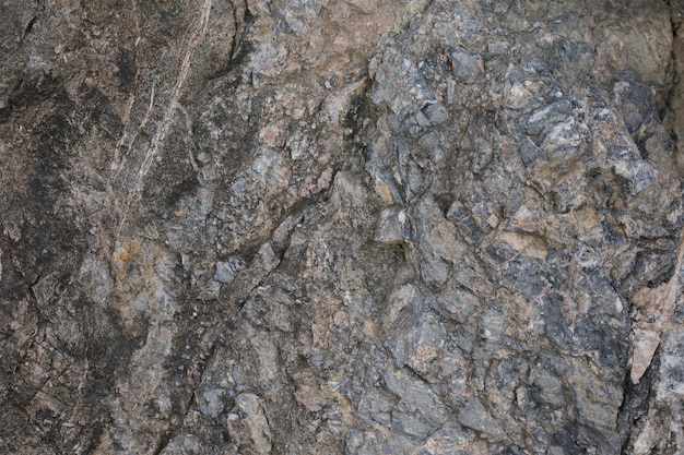 Brown rock in backdrop