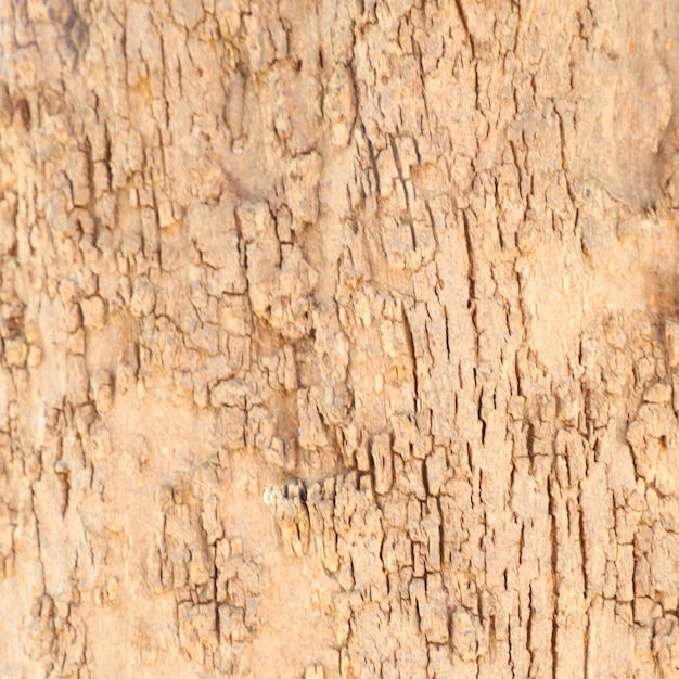 Brown Rock Rough Grunge Background