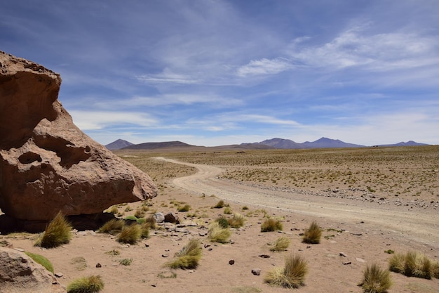 Brown Rocks Offroad-tour op de zoutvlakte Salar de Uyuni in Bolivia