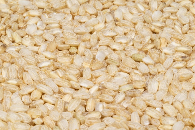 Brown round rice closeup