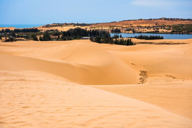 사막의 갈색 모래 언덕과 푸른 하늘 위
