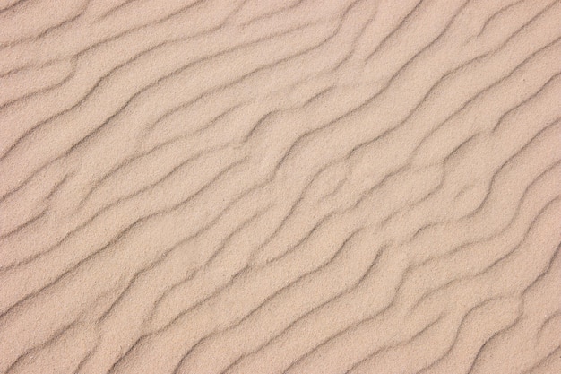 Brown Sand Texture Background from beach sand