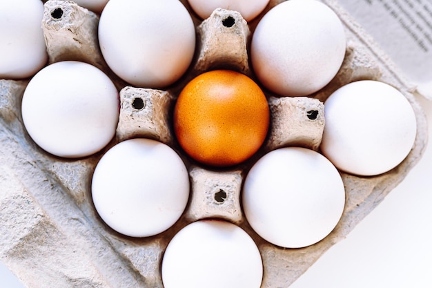 brown-shelled egg stands out against white-shelled eggs