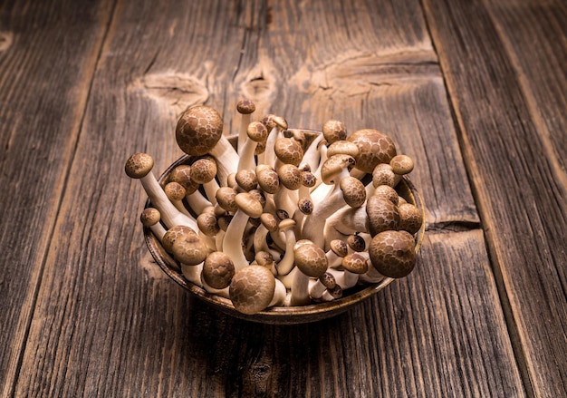 Brown shimeji mushrooms