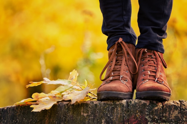 Brown shoes on a stump