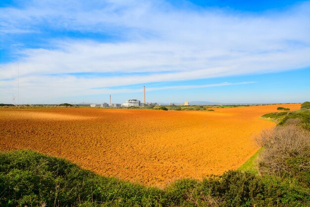 Terreno bruno e prato verde in sardegna italia