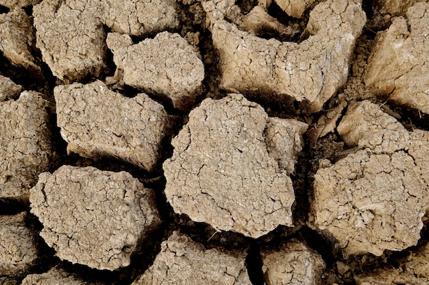 Brown soil surface is cracked. Global warming concept. Cracked earth texture.