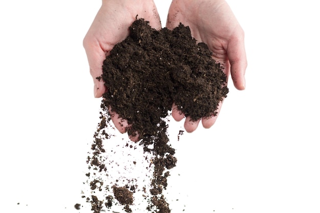 Brown soil in woman hands isolated on white background. The soil falls out of hand.