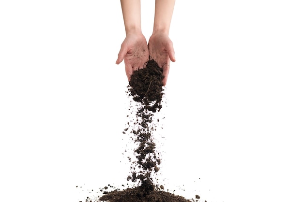 Brown soil in woman hands isolated on white background The soil falls out of hand