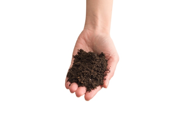 Photo brown soil in woman hands isolated on white background.