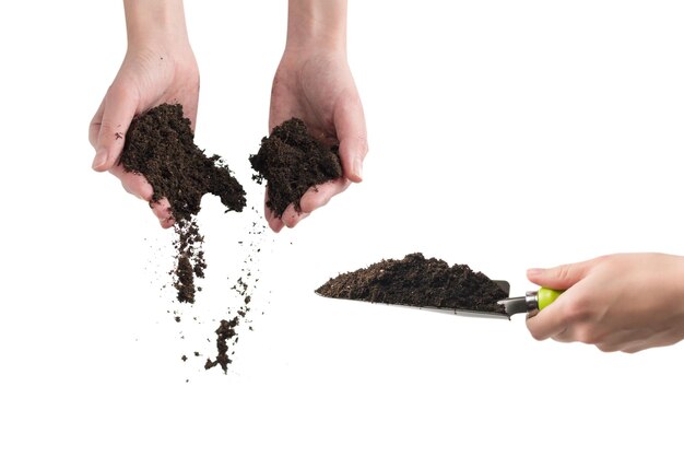 Brown soil in woman hands isolated on white