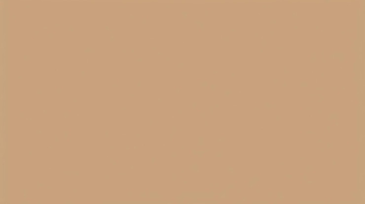 Photo brown solid background