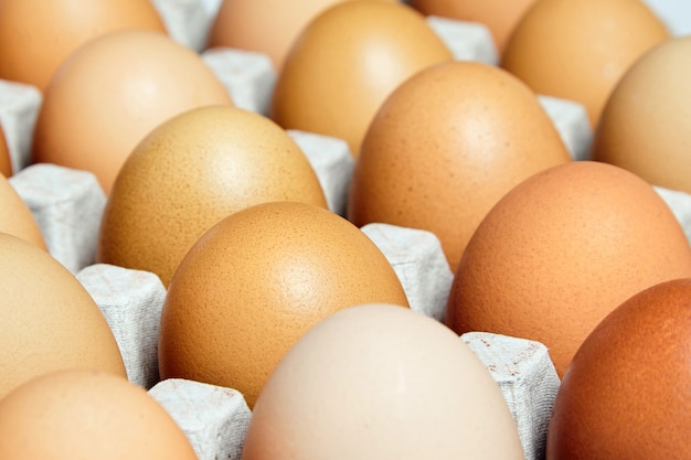 Brown and speckled fresh chicken eggs in the cardboard egg tray. Closeup