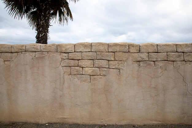 Foto marrone pietra cemento parete consistenza sfondo vecchio antico con palma sulla vista della strada