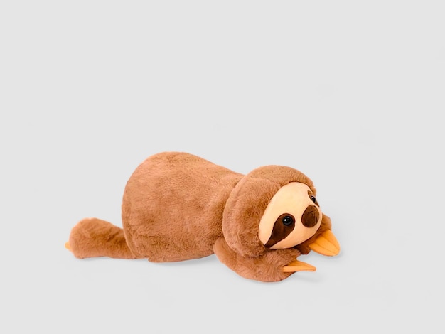 A brown stuffed sloth animal with a brown nose isolated on white