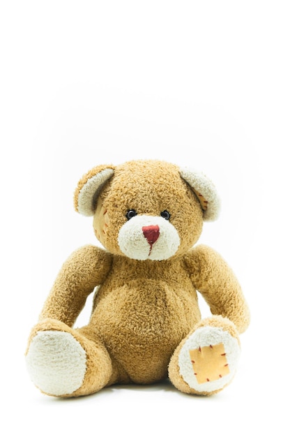 Brown Teddy Bear toy sitting on White background