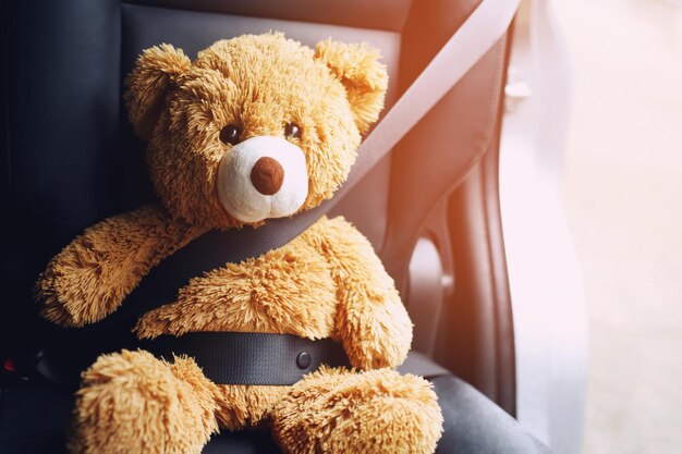 Brown teddy bear wearing car seat belt