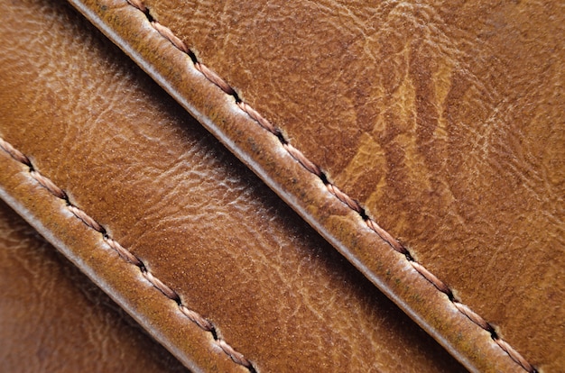 Brown Texture of Natural Skin with Seams