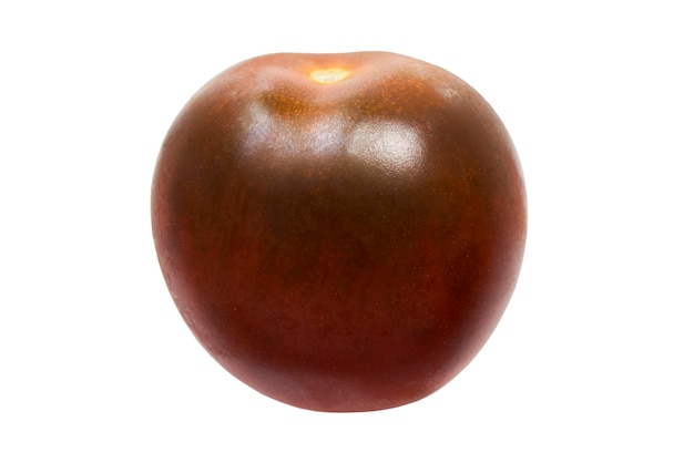 Brown tomato isolated