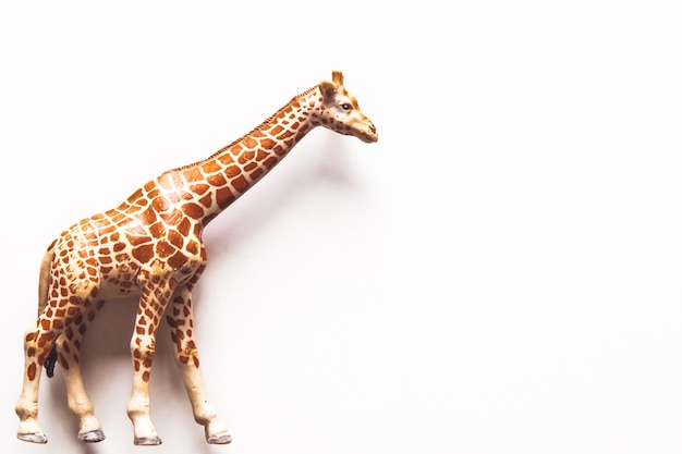 Фото Коричневый игрушечный жираф на белом фоне