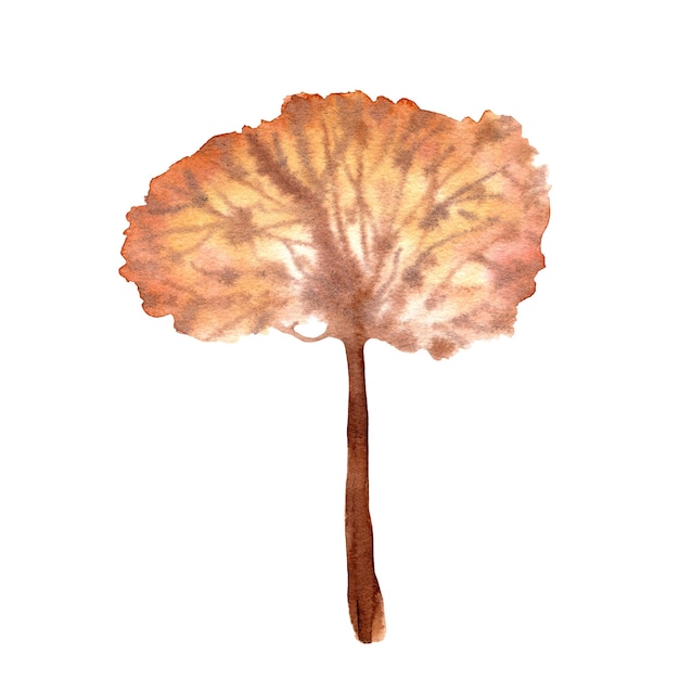 Brown tree on a white background. Hand drawn watercolor illustration.