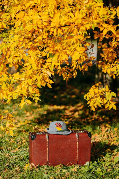 Brown vintage suitcase with felt hat on it in autumn forest