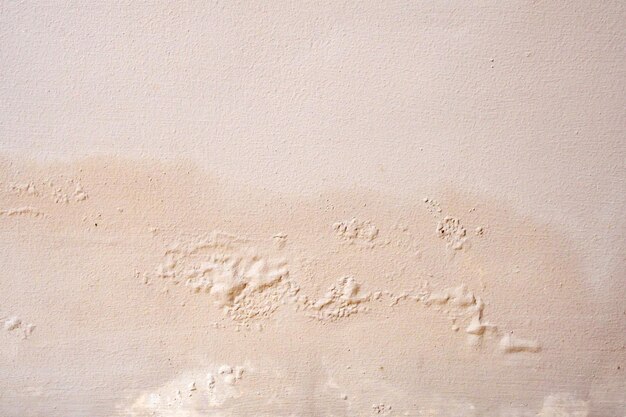 Brown wall damp damaged with peeling paint