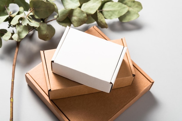 brown and white corrugated cardboard mailer box on wooden desk with eucalyptus leaves
