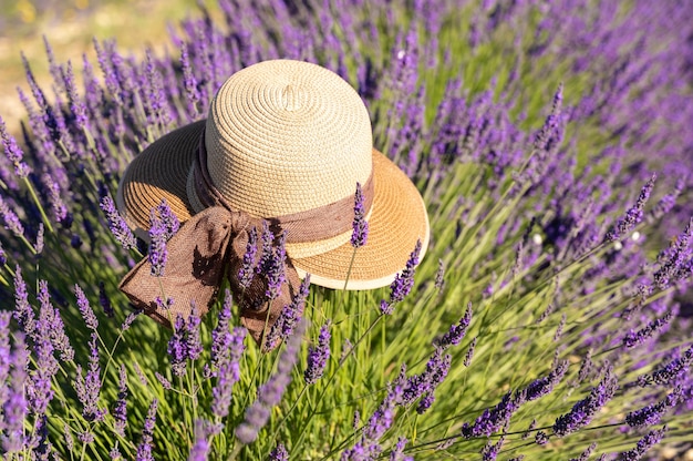 A brown womans hat in a field of lavender in Provence in France