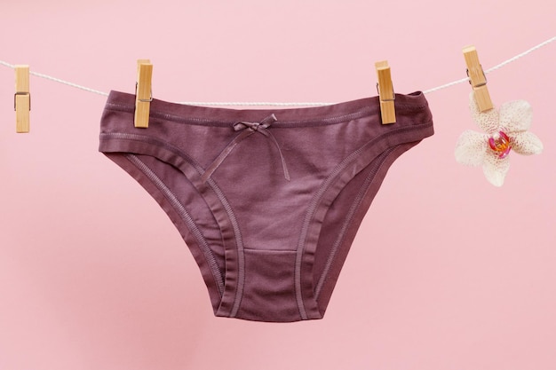 Brown women's panties on clothesline with clothespins and orchid flower in pink background. Woman underwear.